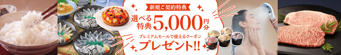 ブース施策LP用(カテゴリー肉・惣菜・加工品)