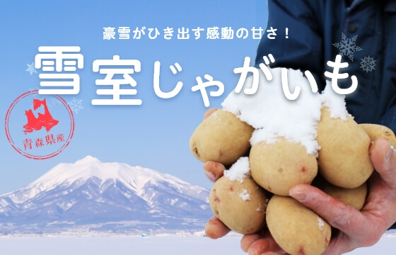 雪室じゃがいも