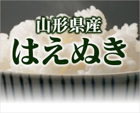 【予約】【令和元年産】山形県産はえぬき(無洗米) 5kg