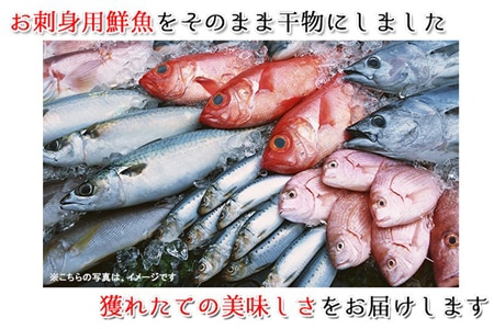 獲れたてよか魚の天日干し干物てんこ盛りお試しセット 旬アジ(大/小)・イトヨリ・サバ(4種10枚)
