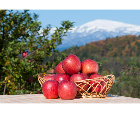 いずみ会の山形県産サンふじ2kg(5~6玉) ※お届け期間:12月上旬~下旬