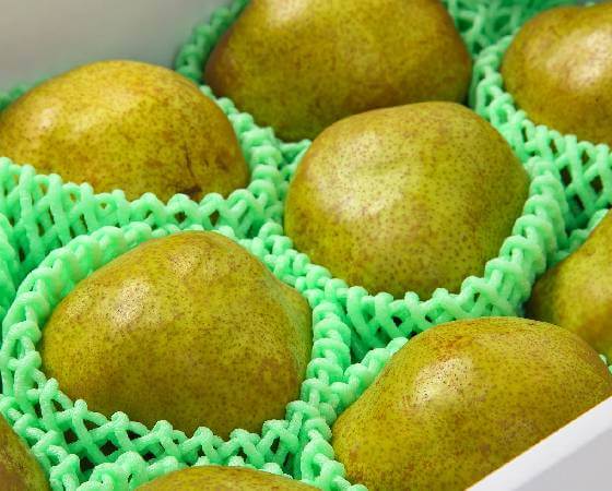 【予約】山形県産 ラ・フランス 家庭用 約2kg(5~8玉) ※出荷時期:12月上旬~12月下旬