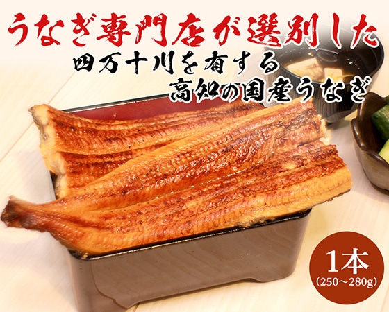 かば焼き(特上 1本)