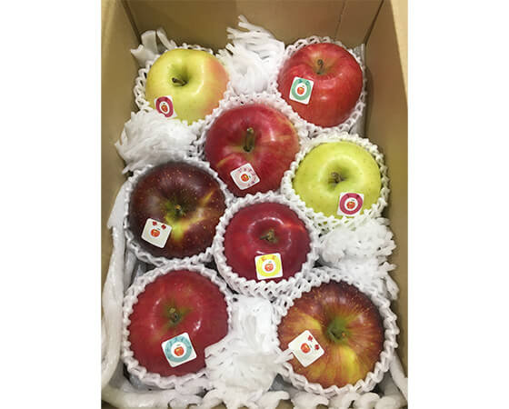【予約】市場厳選 季節のりんご お任せ食べ比べ 2kg ※出荷時期:10月~11月中旬