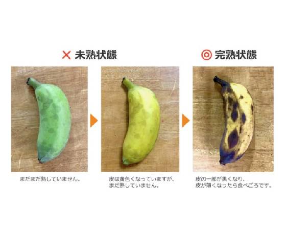 沖縄県産 アップルバナナ 1kg(8本前後)