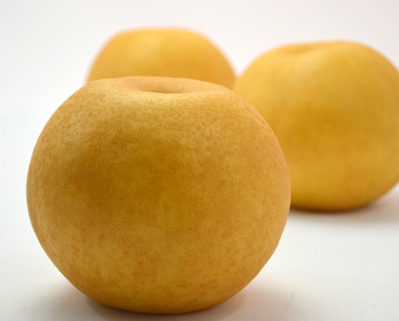 【予約】市場厳選 季節の梨 新高梨 2kg箱(6-7玉) 出荷時期:9月中旬~10月中旬