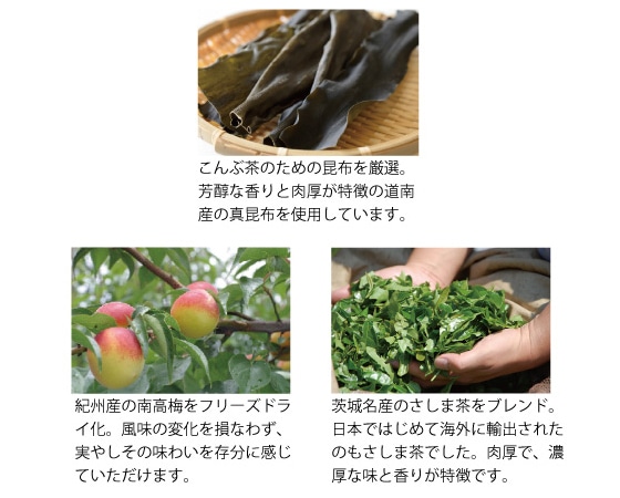 茨城名産さしま茶入り梅こんぶ茶2缶