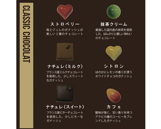 トリュフチョコレート 20粒入