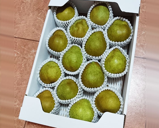 【予約】松伸フルーツの西洋梨 シルバーベル秀品5kg 【出荷時期】2019年12月下旬~