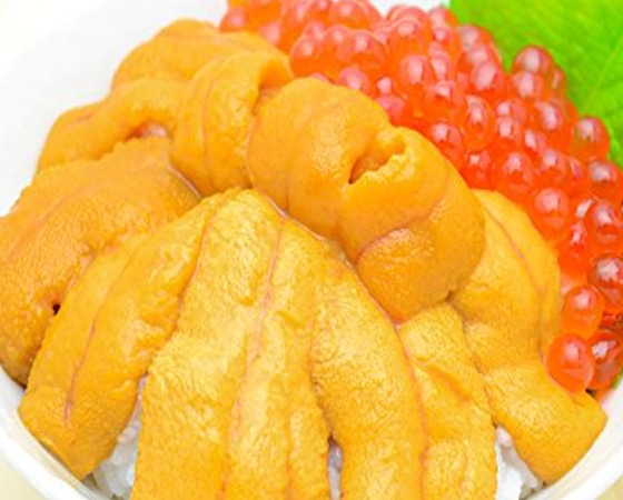 大手問屋の厳選うに500g(ミョウバン不使用※チリ産)【業務用タイプ】