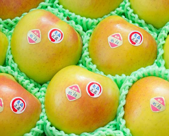 【予約】ぐんま名月 りんご・家庭用A(3kg・6~11玉)【いっちゃん林檎農園】