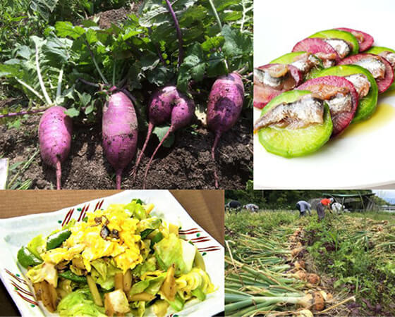 【予約】【年に一回の限定】七草粥とお鍋が食べたくなるお野菜セット ※30セット限定