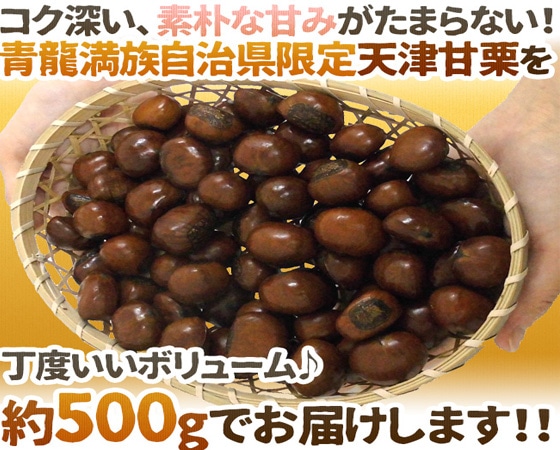 【予約販売】天津甘栗” 約500g【ポスト投函送料無料】※10月下旬よりお届け予定前後する場合がございます。
