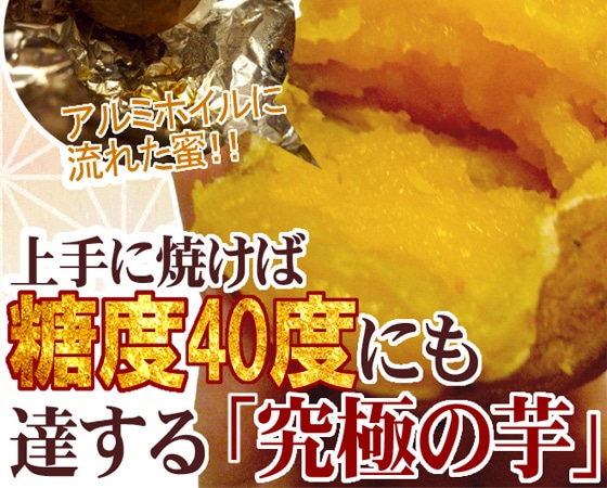 【予約販売】種子島産 ”安納芋” 約1kg 訳あり 2kg購入で1kgおまけ♪3kg以上購入2倍に増量!※10月下旬よりお届け予定前後する場合がございます。