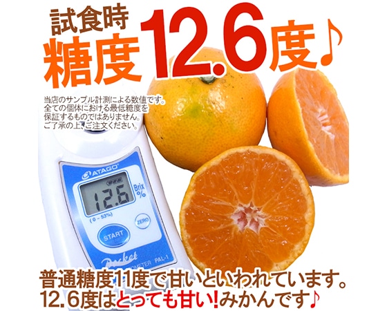【送料無料】和歌山みかん 訳あり S~Mサイズ 約10kg【予約 11月末以降】