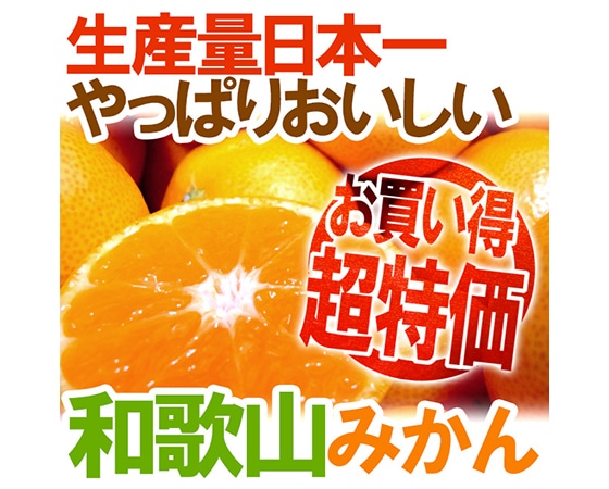 【送料無料】和歌山みかん 訳あり LLサイズ 約10kg【予約 11月末以降】