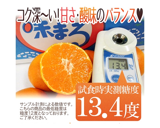 【送料無料】長崎産 西海 ”味まるみかん” 訳あり 約5kg 大きさおまかせ 【予約 11月末以降】