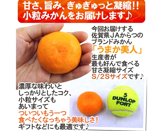 【送料無料】佐賀県 JAからつ ”うまか美人みかん” S/2Sサイズ 約2kg【予約 11月末以降】