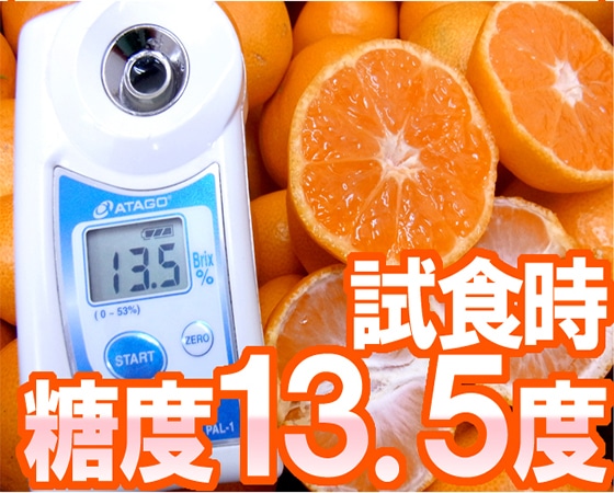 【送料無料】和歌山産 ”有田みかん” 秀品 SSサイズ 約10kg ありだみかん【予約 11月末以降】