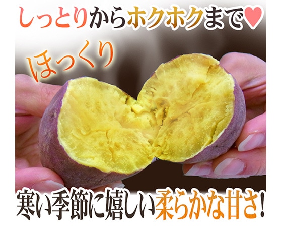 【送料無料】千葉・茨城産 訳あり ”さつまいも” 約5kg 品種おまかせ♪