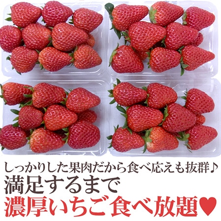 【送料無料】徳島産 ”紅ほっぺ” 大粒 2Lor3Lor大粒○ 約250g×4pc いちご【予約 12月~4月】