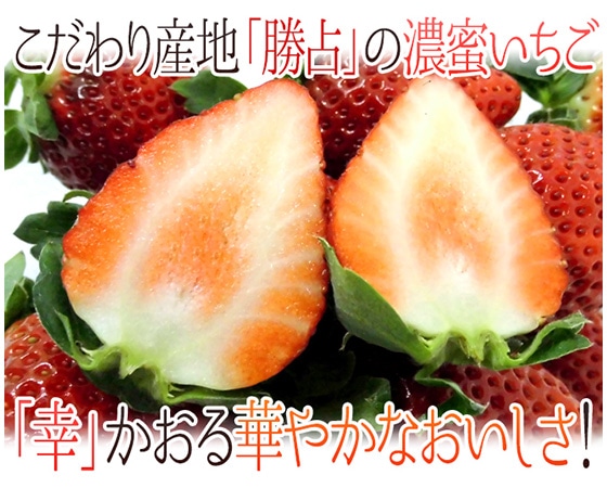 徳島県勝占産 ”さちのか” 2Lor3Lor大粒○ 約250g×4pc いちご【予約 12月~4月】
