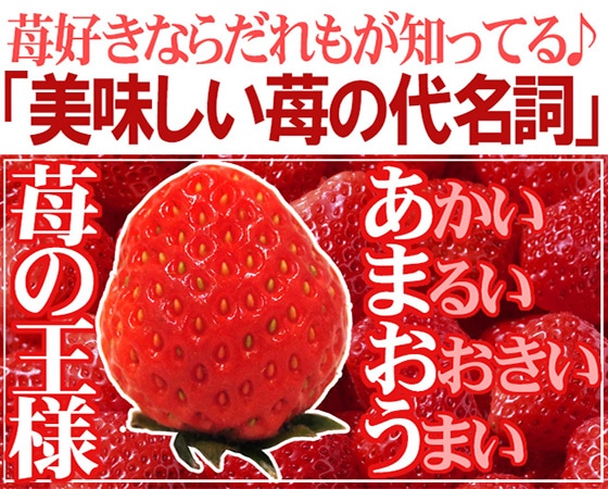福岡産 博多 ”あまおういちご” 秀品 小粒 Sサイズ 4パック入り(1パック約270g)×《1箱》【予約 12月以降】