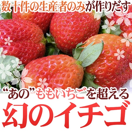 徳島県佐那河内村 ”さくらももいちご” 訳あり 約200g×4pc ワケ待ち【予約 12月~4月】