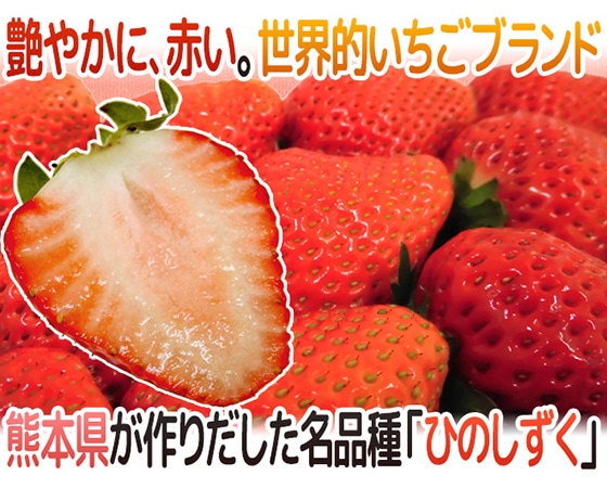 熊本県 ”ひのしずくいちご” 秀品 2パック入り(1パック 7~13粒 約300g)×《1箱》【予約 12月~3月】