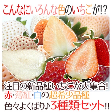 奈良県産 ”三色いちごセット” 2pc(1pcあたり9~15粒前後 約250g)古都華・淡雪・パールホワイト【予約 12月以降】