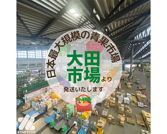 有機野菜セットM おまかせ5~6品