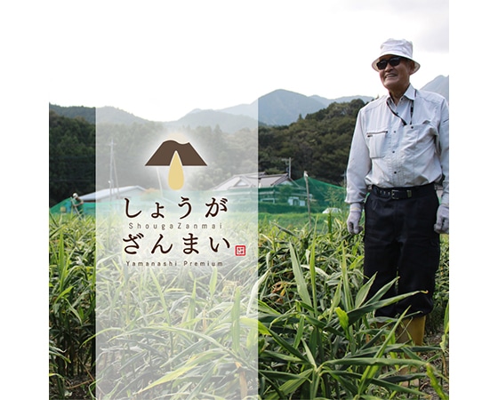 山梨県産 生姜シロップ 320ml×2