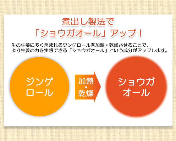極み生姜の力(2本)
