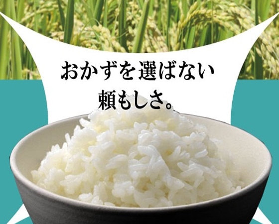 【30年度】 青天の霹靂(へきれき) 青森県5kg