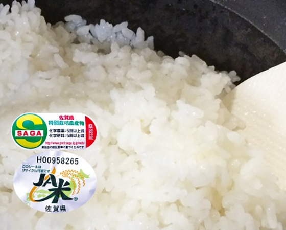 【令和二年産】佐賀県七夕コシヒカリ 10kg お届け:10月上旬~