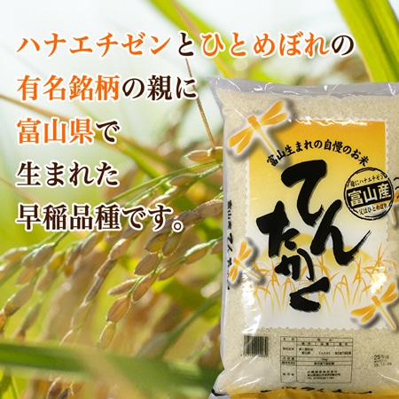 富山県産てんたかく 5kg(30年産)
