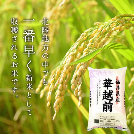 福井県産華越前 10kg(30年産)