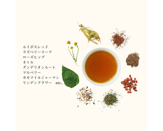 【生活の木】私の30日茶 ラズベリーリーフブレンド お試し7ヶ入