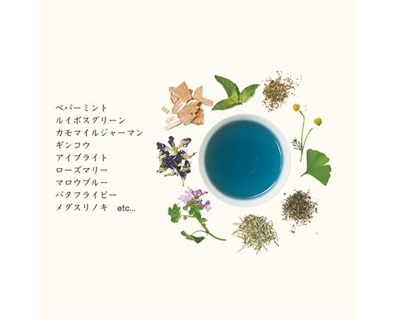 【生活の木】私の30日茶 蒼のメグスリノキブレンド お試し7ヶ入