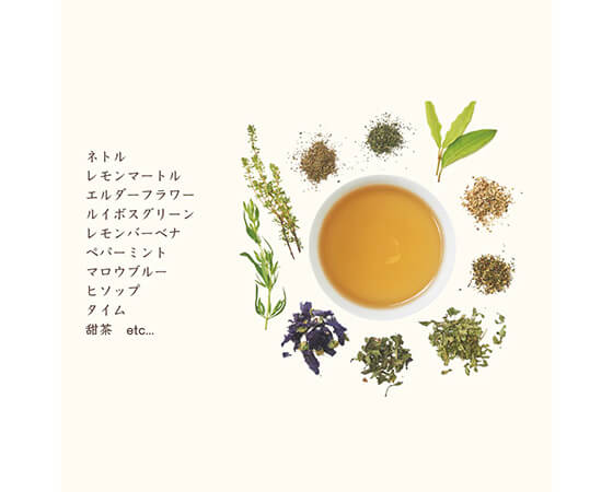 【生活の木】私の30日茶 ハッピーノーズブレンド お試し7ヶ入