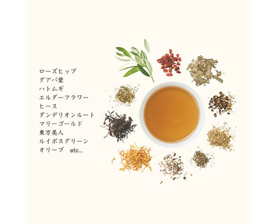 【生活の木】私の30日茶 東方美人ブレンド お試し7ヶ入