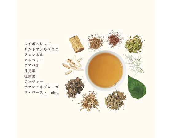 【生活の木】私の30日茶 軽やかサラシアブレンド 30ヶ入