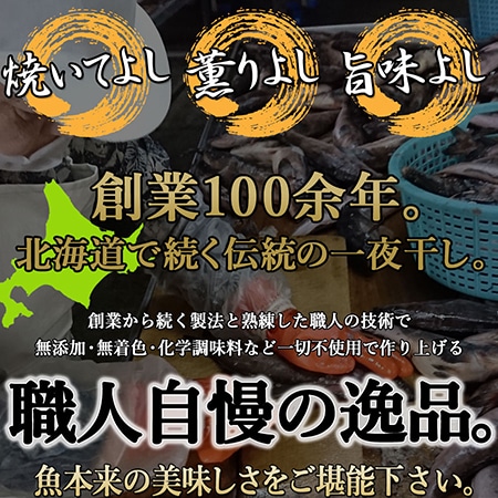 北海道寿都産の新鮮な魚を厳選!!創業百余年!!伝統の一夜干しセット三種(ほっけ・かれい・いか)