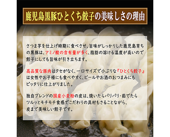 鹿児島黒豚ひとくち餃子45個