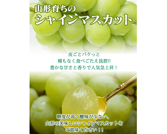 【予約】シャインマスカット 約700g×2房 ※出荷時期:9月中旬~10月上旬