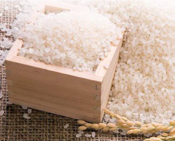 山形県産 雪若丸(無洗米) 5kg 令和7年産