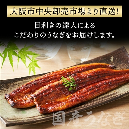 特大国産うなぎ200g×2尾