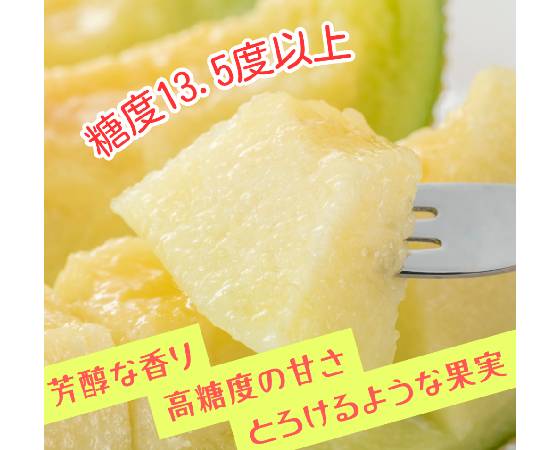 【山級】静岡マスクメロン(アローマメロン)1玉 1.8kg〈化粧箱付〉