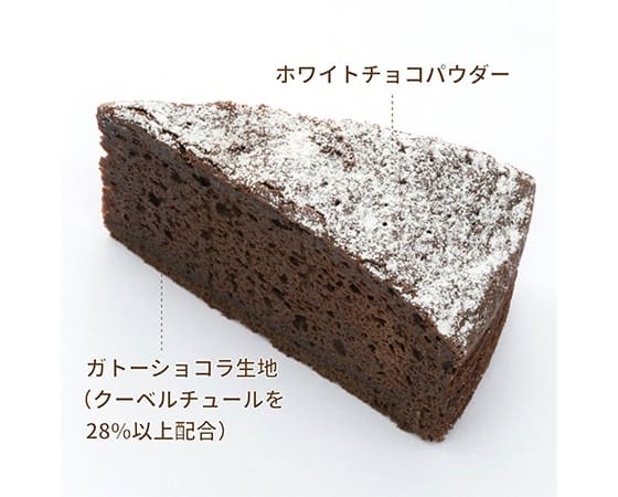 ガトーショコラ 270g(45g×6個)
