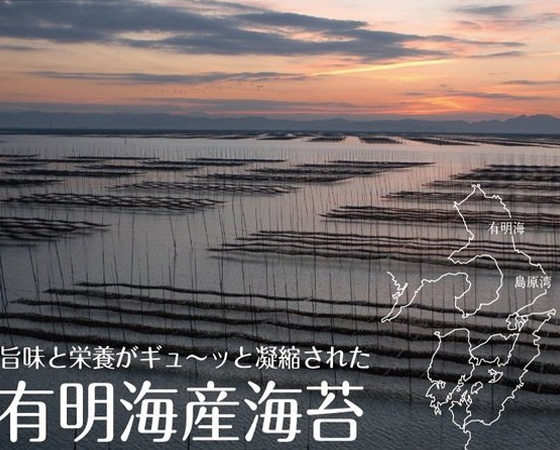 有明海産 味付海苔(たっぷり全型50枚入)